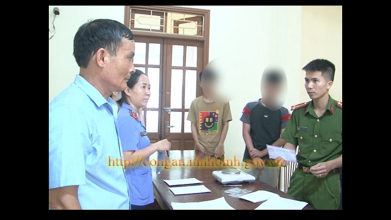 Công an thành phố Ninh Bình điều tra, xử lý vụ hai học sinh mua bán trái phép 30,61 gam cần sa