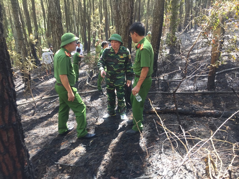 Chữa cháy rừng ở xã Phú Long, huyện Nho Quan