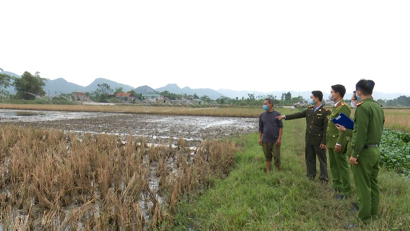 Phòng Cảnh sát môi trường Công an tỉnh phối hợp kiểm tra, xử lý các trường hợp săn, bắt chim hoang dã trái phép trên địa bàn xã Yên Thái, huyện Yên Mô